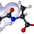 Understanding Peptides: How Structure Affects Function