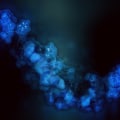 Amino Acids in Peptide Structures: Understanding the Benefits and Uses
