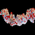 The Impact of Peptides on Metabolism