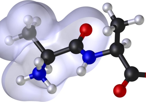 Understanding Peptides: How Structure Affects Function