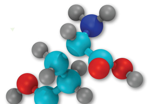 Understanding Peptide Sequences: Structure, Function, and Applications