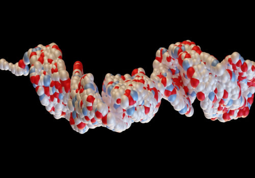 The Impact of Peptides on Metabolism