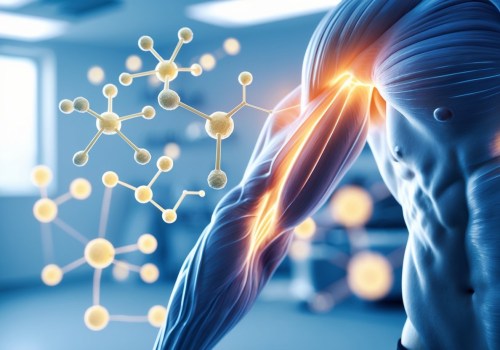 Understanding Peptide Bioavailability and Absorption Mechanisms