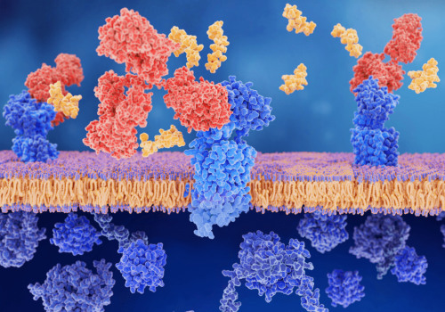 Methods for Producing Peptides: A Comprehensive Guide to Understanding Peptide Synthesis