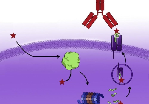 Peptide Combination Therapy for Improved Health and Well-Being